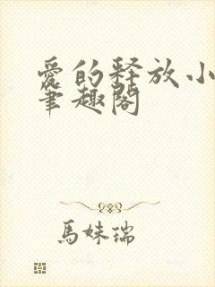 爱的释放小说 笔趣阁