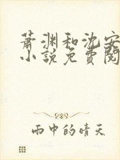 萧渊和沈安安的小说免费阅读