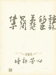 借兄弟的种生孩子周楚臣苏糖