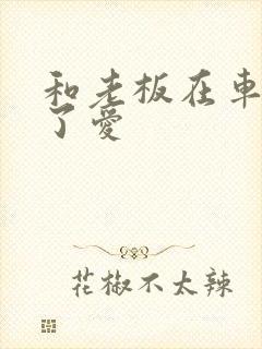 和老板在车里做了爱