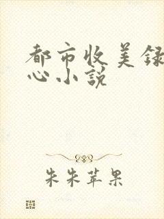 都市收美录宁素心小说