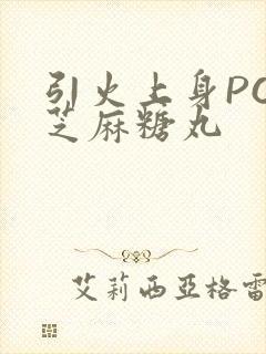 引火上身POP芝麻糖丸