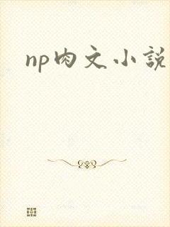 np肉文小说