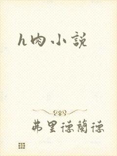 h肉小说