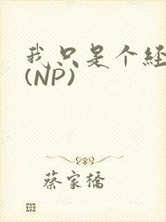 我只是个经纪人(NP)