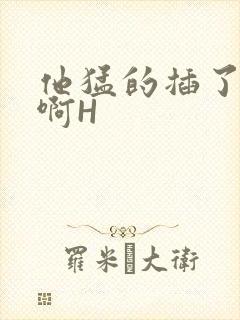 他猛的插了进去啊H