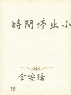 时间停止小说