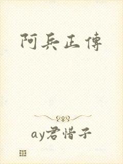 阿兵正传