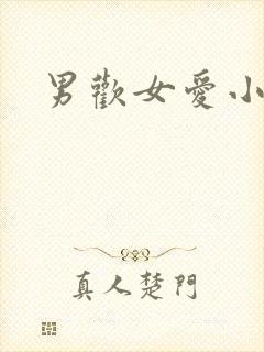 男欢女爱小说