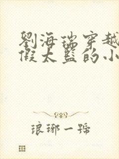 刘海瑞穿越后宫假太监的小说