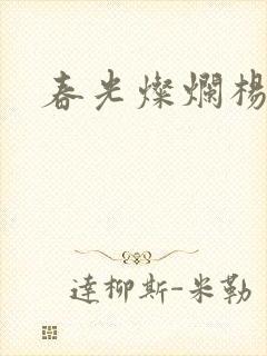 春光灿烂杨家将