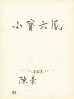 小宝六凤