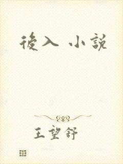 后入 小说