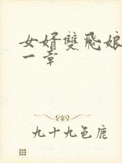 女婿双飞娘俩第一章