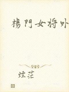 杨门女将外传