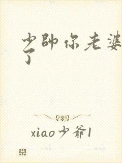 少帅你老婆又跑了