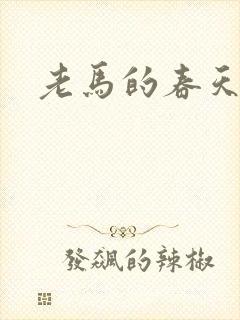 老马的春天