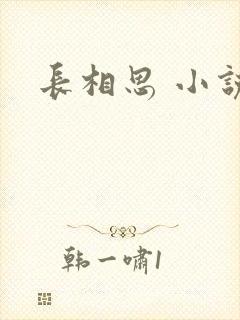 长相思 小说