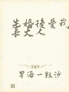 先婚后爱我的市长大人