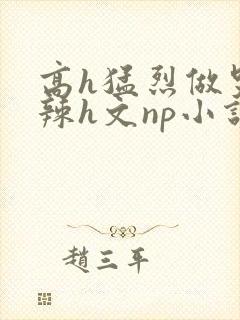 高h猛烈做哭高辣h文np小说