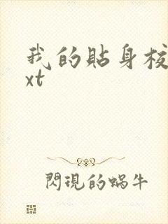 我的贴身校花txt