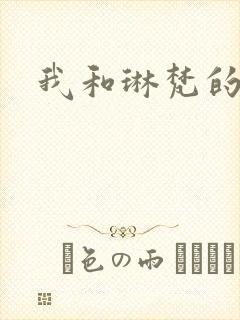 我和琳梵的故事