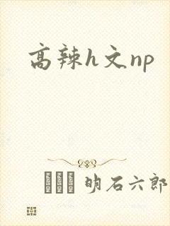 高辣h文np