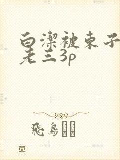 白洁被东子老二老三3p