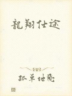龙翔仕途