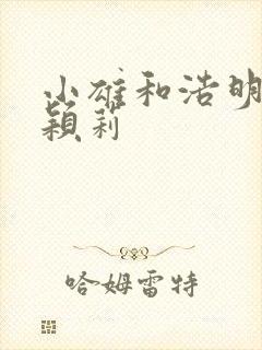 小雄和浩明夹击颖莉