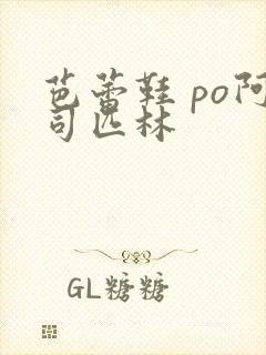 芭蕾鞋 po阿司匹林