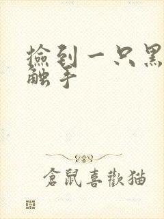 捡到一只黑心小触手