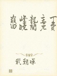 巅峰龙主丁长顺田晓兰免费阅读