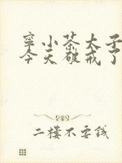 宁小茶太子殿下今天破戒了吗免费阅读