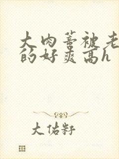 大肉蒂被老头嘬的好爽高h封面