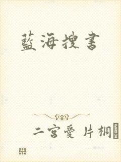 蓝海搜书