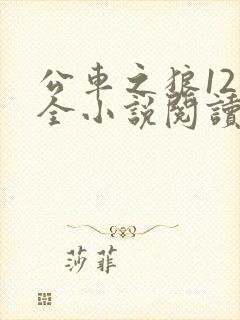 公车之狼12集全小说阅读
