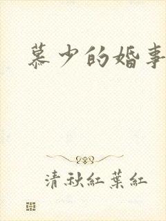 慕少的婚事