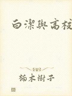 白洁与高校长