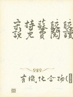 宋持苏皎皎的小说免费阅读