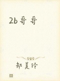 2b哥哥