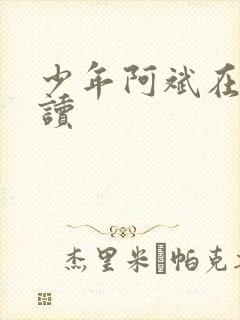 少年阿斌在线阅读