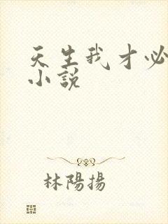 天生我才必有用小说