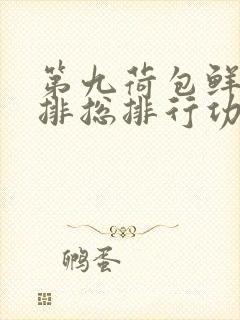 第九荷包鲜辣肉排总排行功能介绍