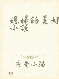 媳妇的美好时代小说