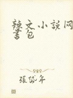 辣文小说网第二书包
