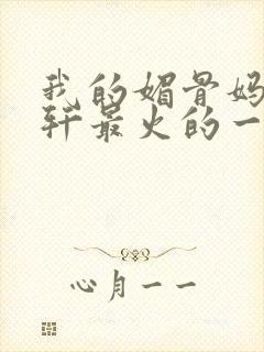 我的媚骨妈妈林轩最火的一句