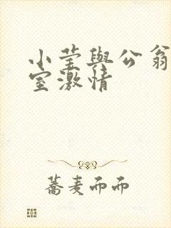 小莹与公翁办公室激情