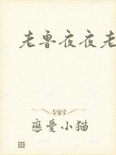 老鲁夜夜老鲁