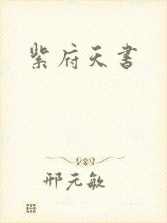 紫府天书